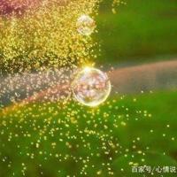 2013岁末随笔