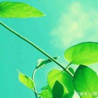 蕴含人生哲理的经典格言短句