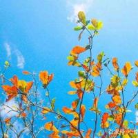 爱就是一辈子做好吃的给你