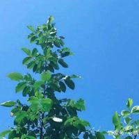 孤独的伤感句子大全·孤独语录