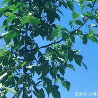 致自己简短的励志句子