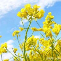 26条韩寒经典语录