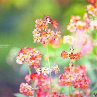 关于志向远大的励志名言警句