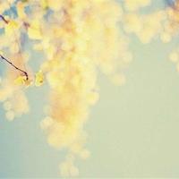 励志的晚安心语,最有正能量的晚安心语