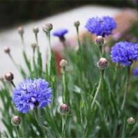 我恐怕不会有时间打电话给你