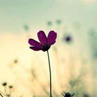 我只怕没有机会,选择真正想要的生活