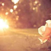 执笔，为你写尽最后的温柔