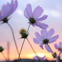 100句诙谐搞笑的句子/诙谐一句话