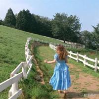 (校园爱情文章)爱是影子