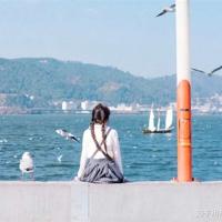 岁末,时光静好