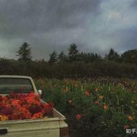 似水流年,烟雨落花