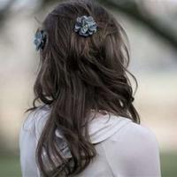 毛泽东语录-伟大领袖毛泽东经典语录收集（二）