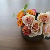 人之所以会烦恼,就是记性太好,记住了那些不该记住的东西。