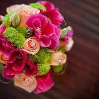 人的土壤在心里