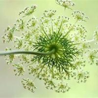 这一次，终于不用再等了