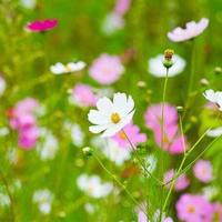 最动听的情话♡