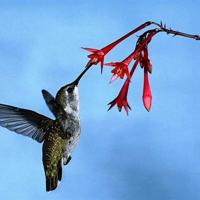 中学生美文摘抄