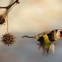 爆强的整人笑话句子❤搞笑句子