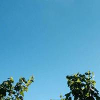 哲理美文摘抄600字