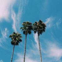 也许错开了的东西,我们真的应该遗忘了。