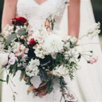 隔窗犹听“爆炸”声——澳洲月事(十二篇之十一)