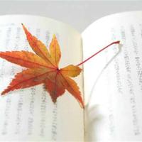 一生得此一人,不易,彼此相爱到老,不腻。