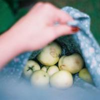 关于于丹的经典语录 我们的眼睛总是看外界太多,看心灵太少