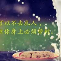 周立波的经典语录、周立波最新经典语录