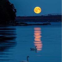 一生的7次关键选择