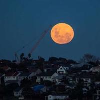 百味阿三之藏露之道