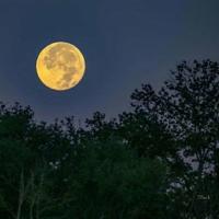 给老爸的一封信