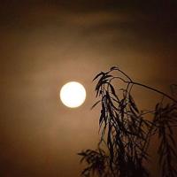 六级英语美文摘抄