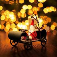 描写植物的美文摘抄