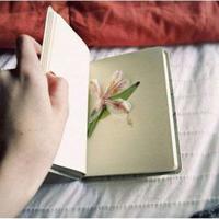 种子之父爱如山