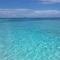 (大学生活文章)我的大学—最后的日子