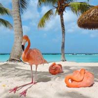 那些年,老旧的时光