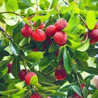 2019清明节祝福语经典微信短信问候语100条