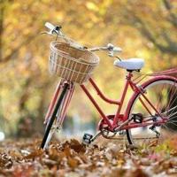 第一支烟 恶魔雨雯