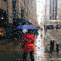 判断能力是人生必备能力之首