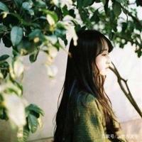 努力励志的句子
