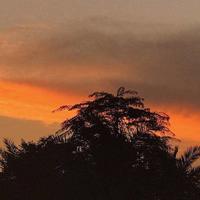 东北的冬天有多冷(跟着风往东北走 2)