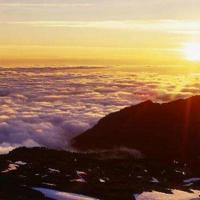 有关于红楼梦的诗句大全，红楼梦短句