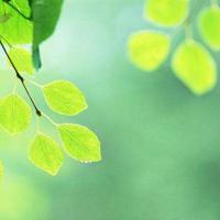 现实总是有许多无奈