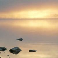 深入人心的晚安心语,晚安一句话