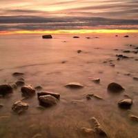 四月,爱在生命的枝头绽放