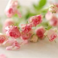 安妮宝贝最新的经典语录 婚姻是一种生活方式,而并非结局