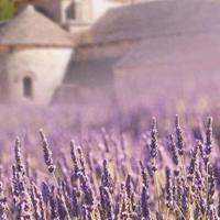 能够激发自己潜力的励志格言