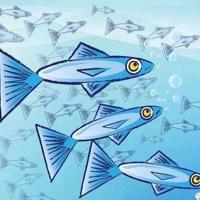 经典伤感句子,伤感短句