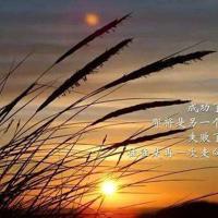 遗忘是最好的止痛药,可是,我忘不掉、