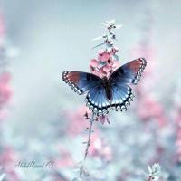 看透世态炎凉,这世界并不善良。